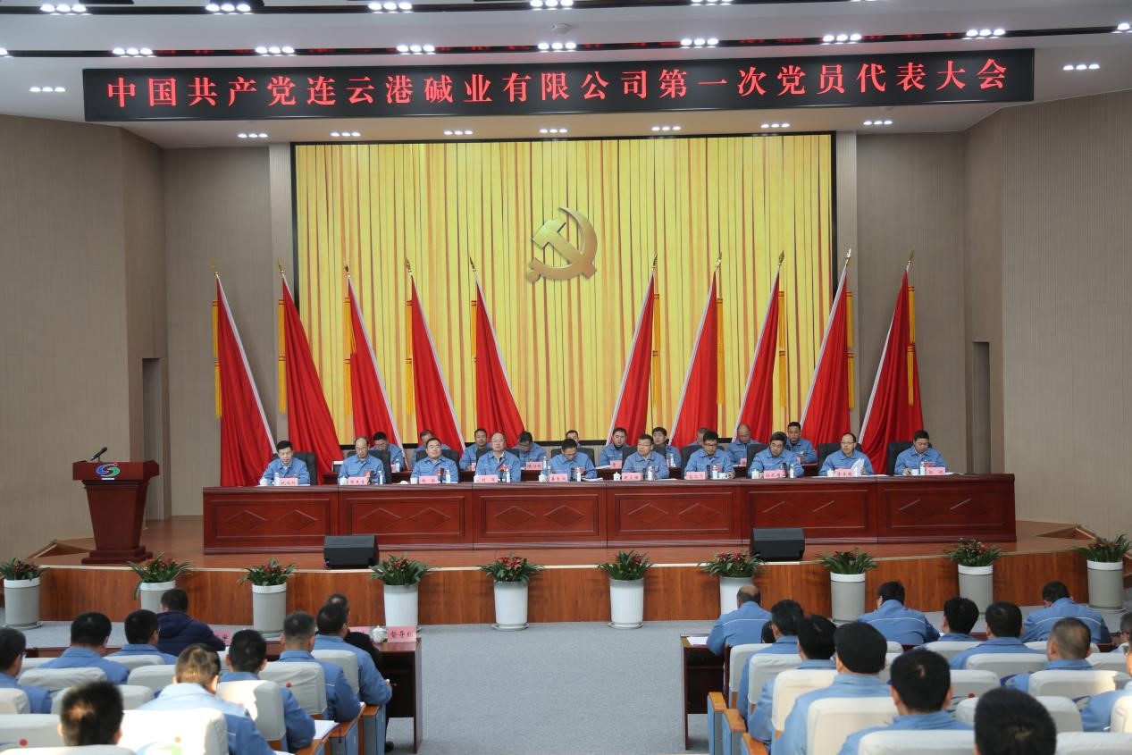 中國共產(chǎn)黨連云港堿業(yè)有限公司黨員代表大會召開
